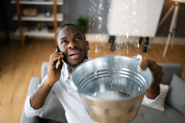 Best Water damage contractors near me  in Georgetown, CT