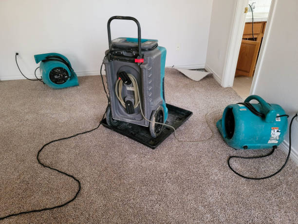  Georgetown, CT Water damage restoration Pros
