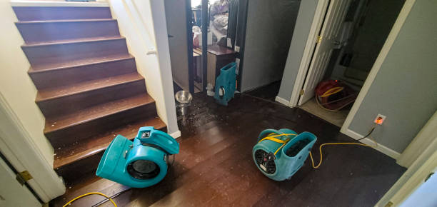Best Commercial water damage restoration  in Georgetown, CT