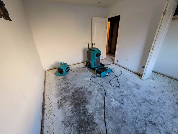 Best Emergency water damage restoration  in Georgetown, CT