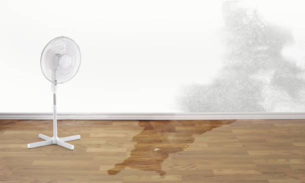 Best Emergency water damage restoration  in Georgetown, CT
