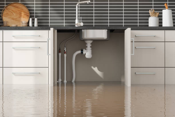 Best Sewage cleanup and water damage restoration  in Georgetown, CT