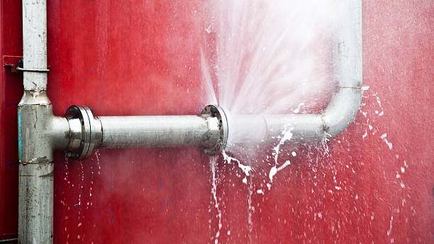 Best Flood damage cleanup  in Georgetown, CT